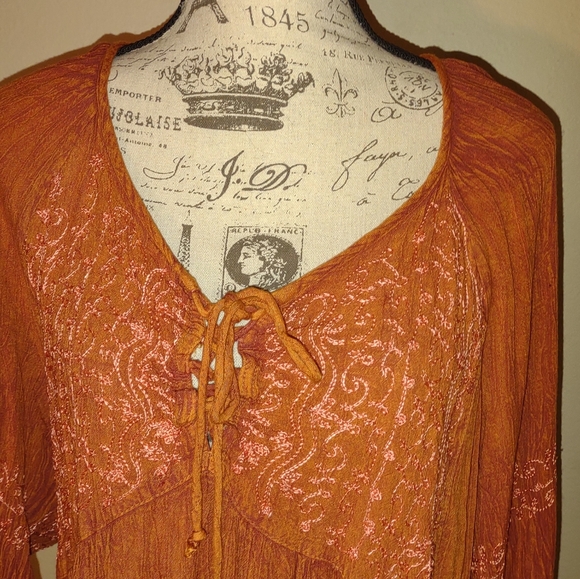 Chances R" dress, size 2X, burnt orange, rusty, embellished floral vine - Picture 3 of 12